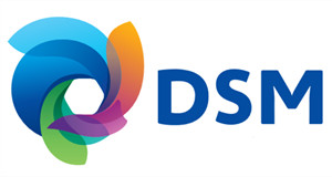 巍川環(huán)?！商m皇家帝斯曼集團(tuán)